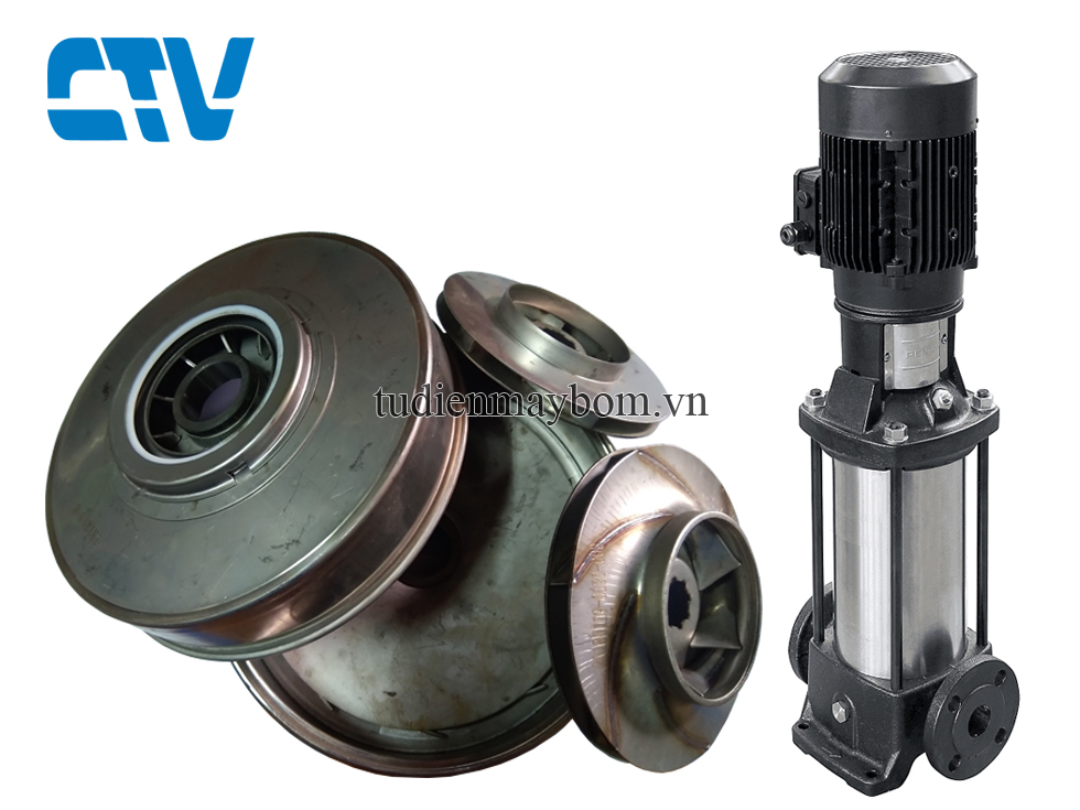 Ruột buồng máy bơm trục đứng Ebara EVMSG20 3F5